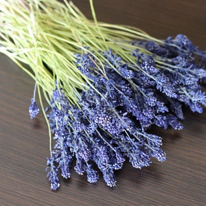 10/20/30/50/100/200 pieces of dried 3D spring Muscari flowers/2024 harvest/Flowes for Resin/for Candles/for Scrapbooking/For your Art