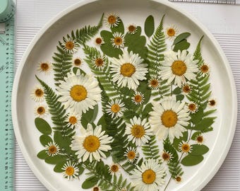 Edible Pressed Chamomile Flowers: Natural Cake Decoration, Scrapbooking (30/50/80 pcs