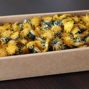 20/50/g Flores de dente-de-leão orgânicas/colheita de 2025/joias de resina/chá/decoração de bolo/culinária