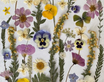 Fiori commestibili pressati: decorazione di torte e dessert - Scrapbooking