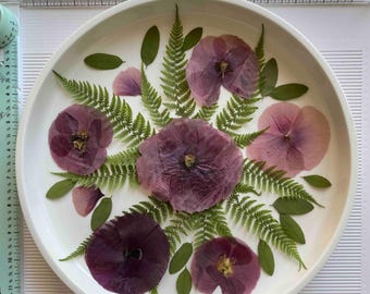 Pressed Edible Poppy Flowers: Cake Decoration, Scrapbooking (50-60 pcs)
