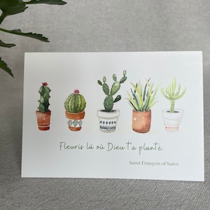 Carte de correspondance aquarelle "Cactus"