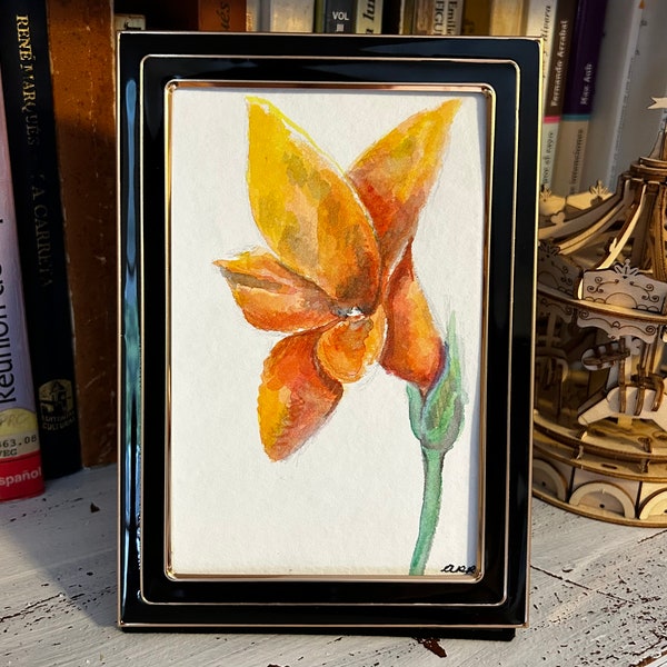 Gladiolus watercolor painting (Gladiola Mínima)