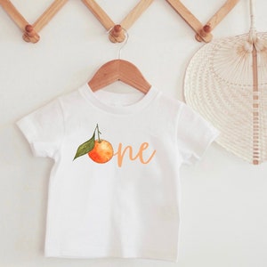 One Little Cutie Birthday Shirt, Clementine Birthday Shirt, Little Cutie Theme, 1st Birthday T-shirt, Fruit Theme, Orange