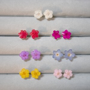 Echte kleine kleurrijke bloem harsoorbellen met sterlingzilveren post/zomeroorbellen/natuurlijke bloesem/cadeaus voor haar