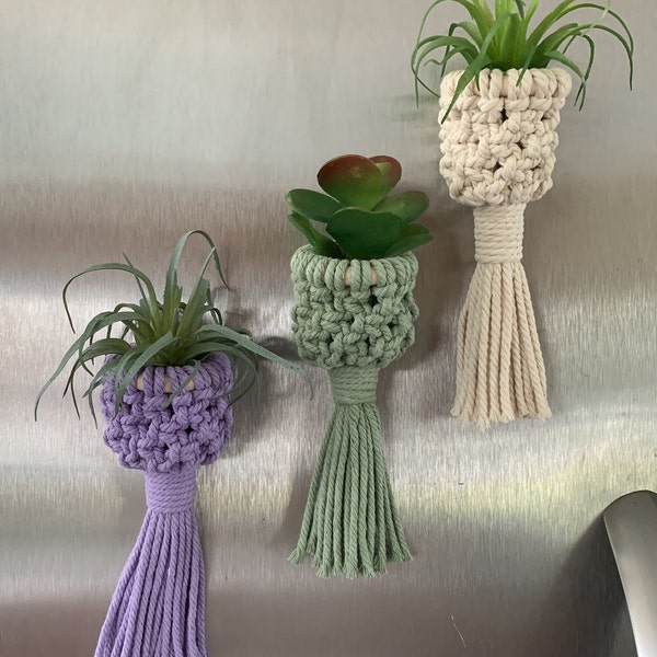 Air Plant Fridge Magnet / Macrame Magnet