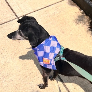 Blue Checkered Bandana | Dog bandana | Cat bandana | Fun pet accessory | Cute | Trendy | Dog scarf | Pet gift | Puppy gift