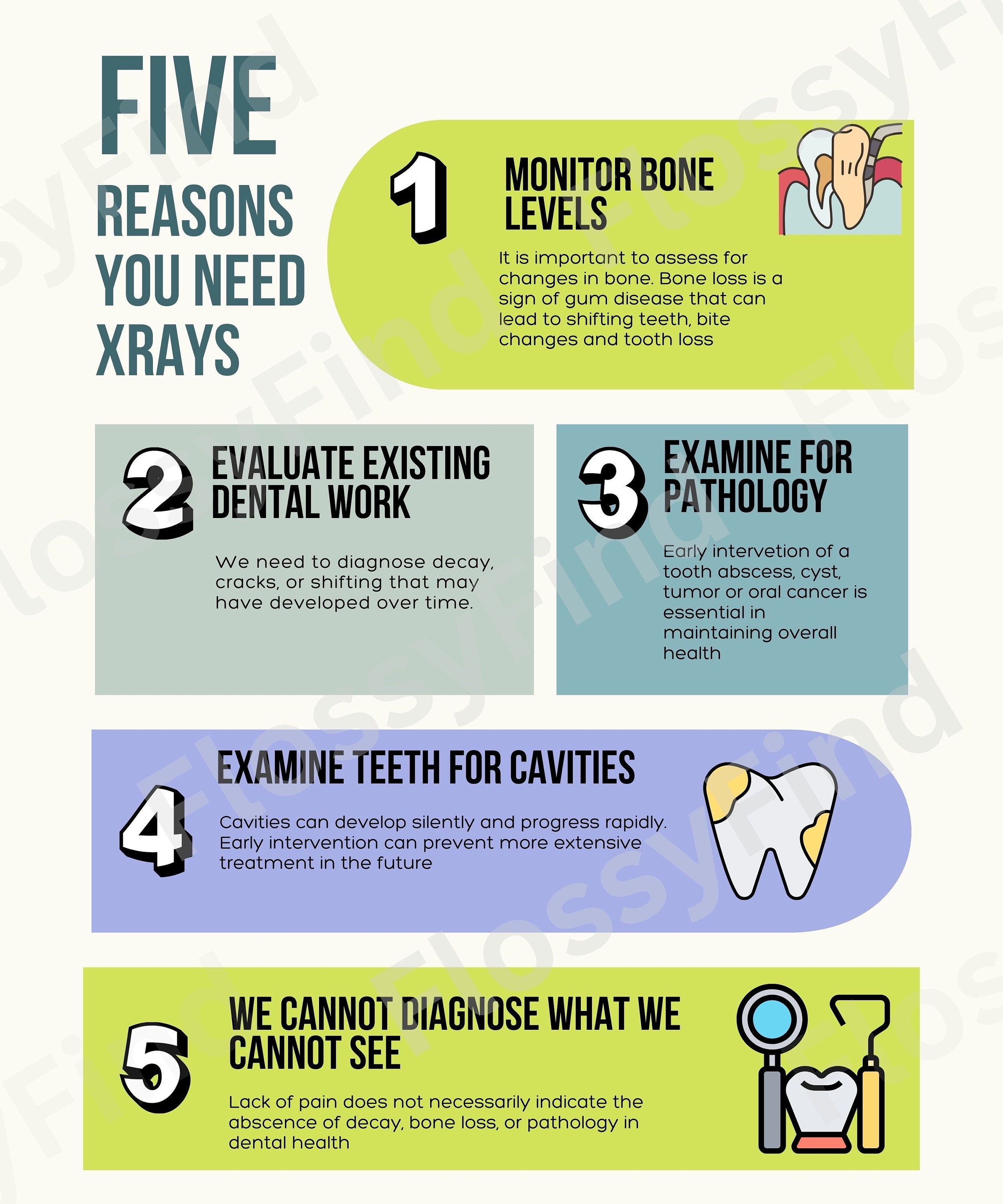 Dental X-rays Poster: Dentist Office Decor, Educational Print - Etsy