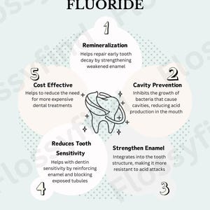 Fluoride Benefits Educational Poster - Dental Health Awareness - Eco-Friendly Print image 2