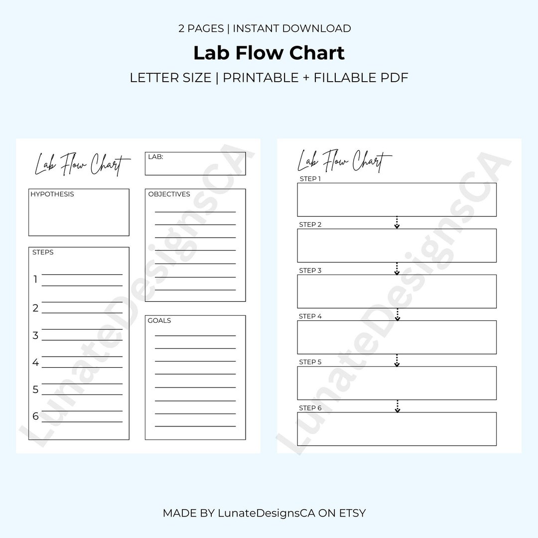 Science Lab Flow Chart, School Flow Chart, Biology/nursing/kinesiology