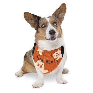 Cute Dog Bandana Collar, Dog Bandana, Dog collar, Dog Halloween, Halloween, Halloween Dog Bandana, Dog Halloween Outfit, Dog Trick or Treat