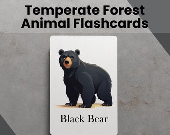 Temperate Forest Animal Printable Flash Cards Learning Tool for Education About Fun Learning Activities for Kids with Printable Flashcards