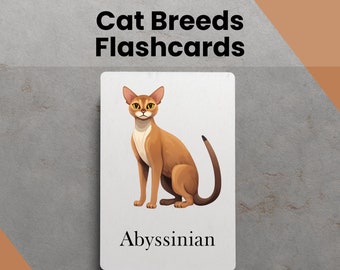 Cat Breed Printable Flash Cards Learning Tool for Education About Fun Learning Activities for Kids with Animal Printable Flashcards