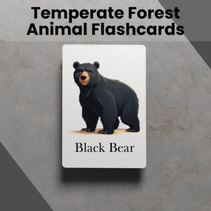 Cartões flash imprimíveis de animais da floresta temperada Ferramenta de aprendizagem para educação sobre atividades divertidas de aprendizagem para crianças com cartões flash imprimíveis