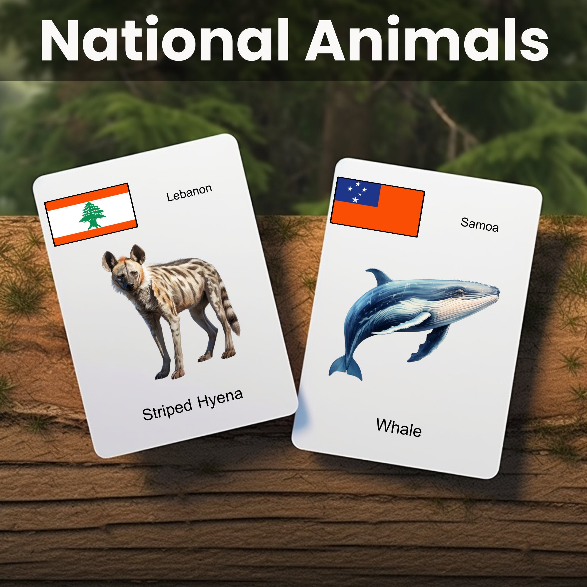 National Animal Digital Printable Flash Cards Learning Tool for ...