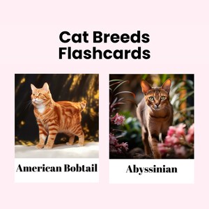 Flashcards de raças de gatos, cartões educativos imprimíveis para crianças, cartões flash montessori para impressão de cães
