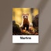 Boreal Forest Animal Flashcards Printable for Kids Animal Forest ...