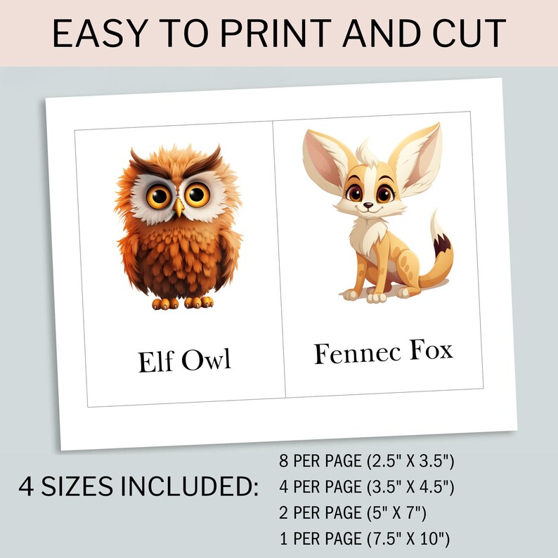 Desert Animal Printable Flash Cards Learning Tool for Education About ...