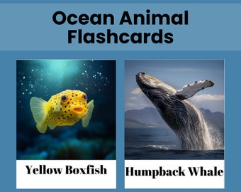 Ocean Animal Educational printable Flashcards for Kids with realistic image