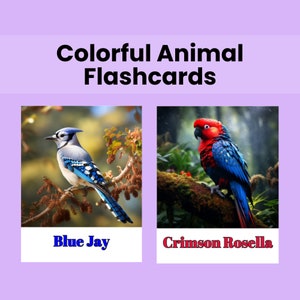 Bunte Tier Flashcards Lernbare druckbare Flashcards für Kinder Montessori druckbare Flash Cards