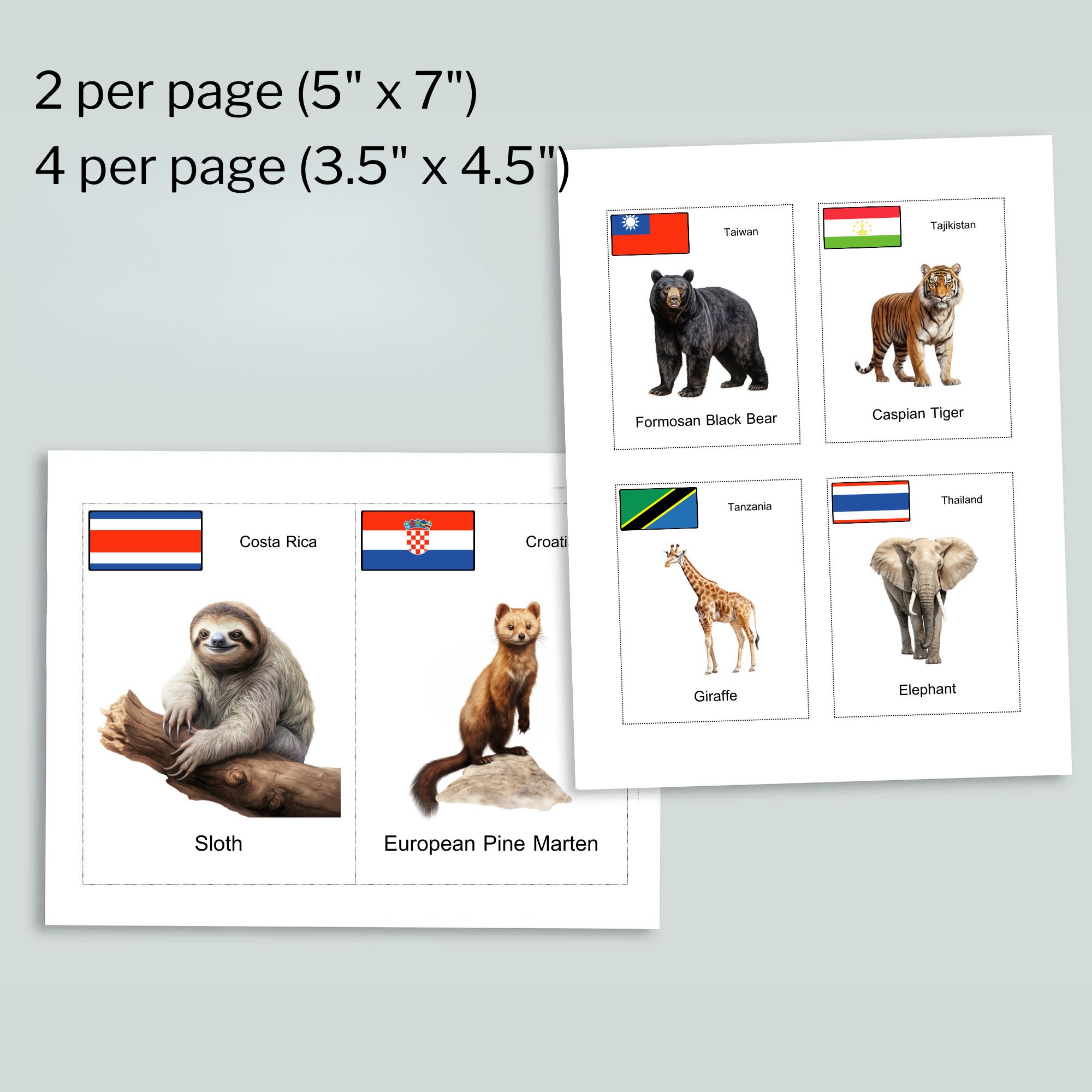 National Animal Digital Printable Flash Cards Learning Tool for ...