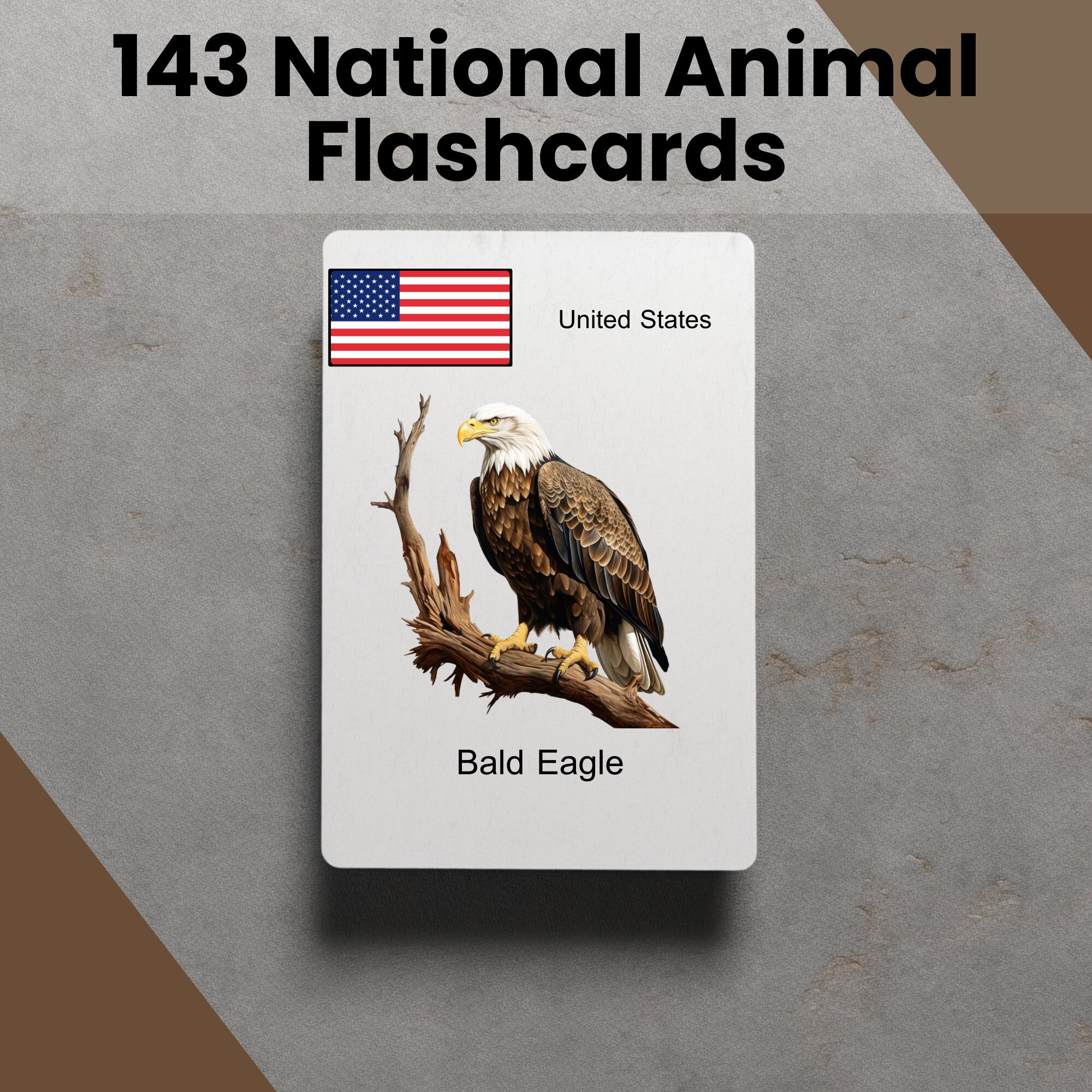 National Animal Digital Printable Flash Cards Learning Tool for ...