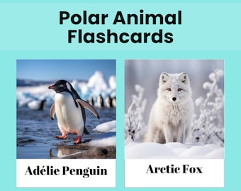 Polar Animal Kids Flashcards for Montessori Educational with Realistic Images for Kids