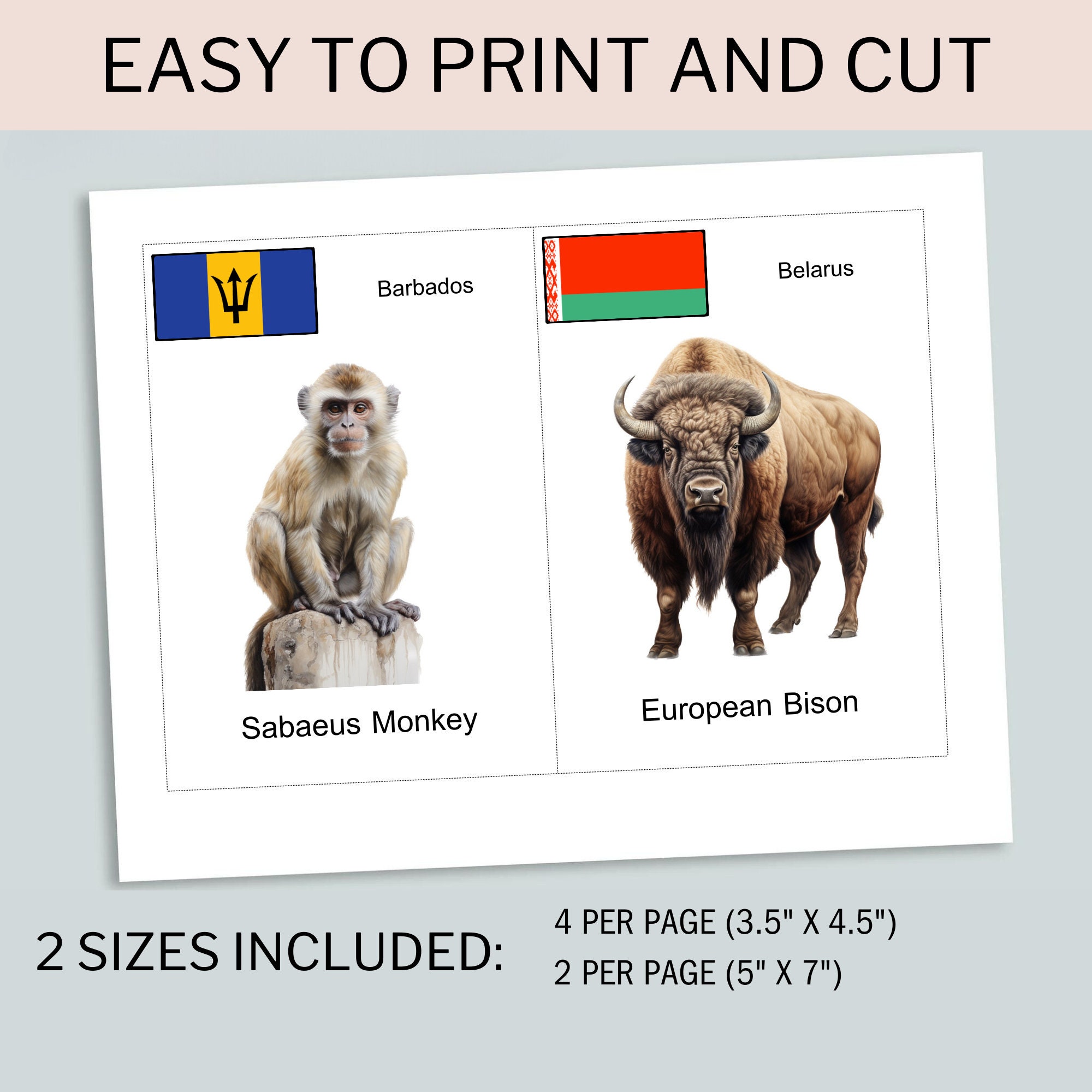 National Animal Digital Printable Flash Cards Learning Tool for ...