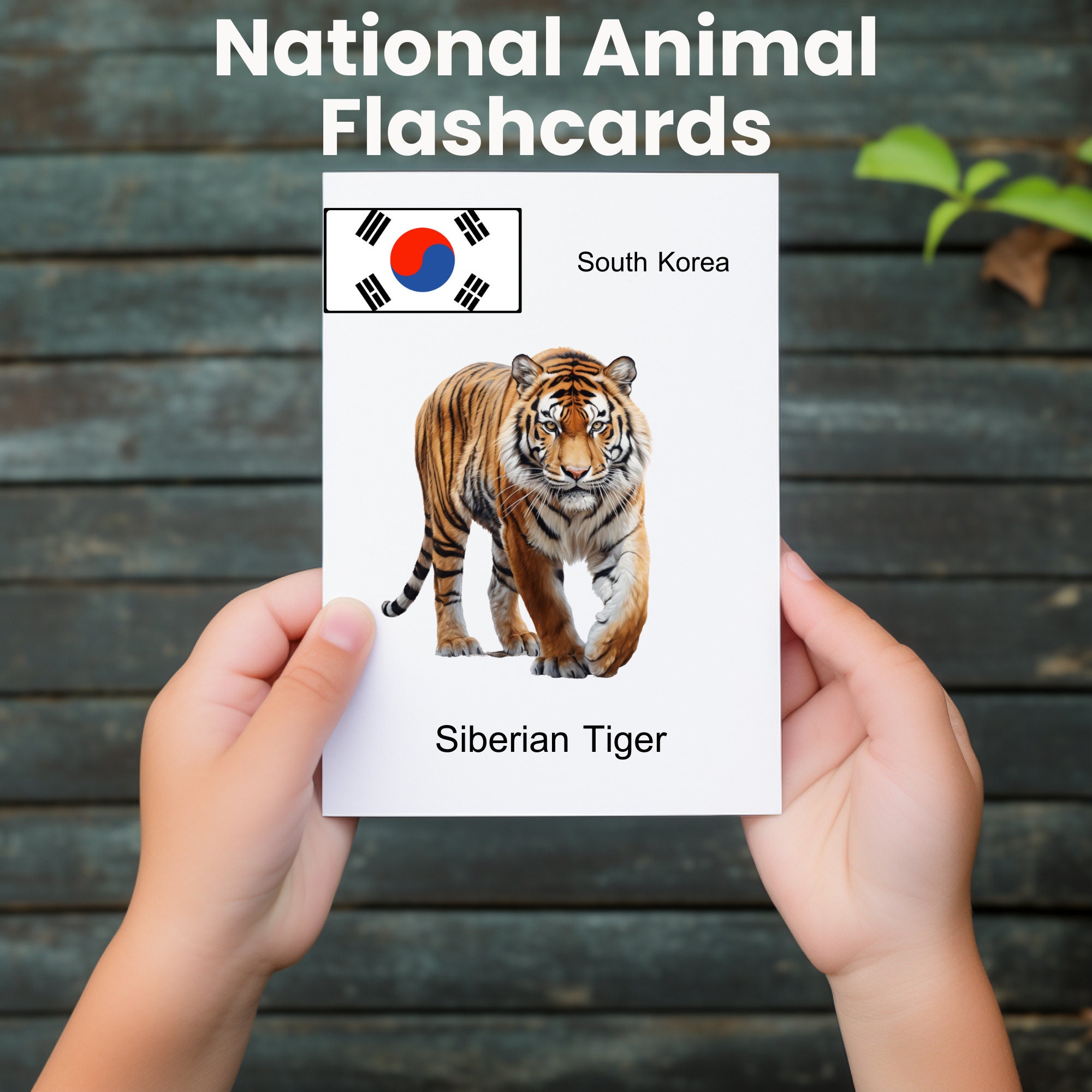 National Animal Digital Printable Flash Cards Learning Tool for ...