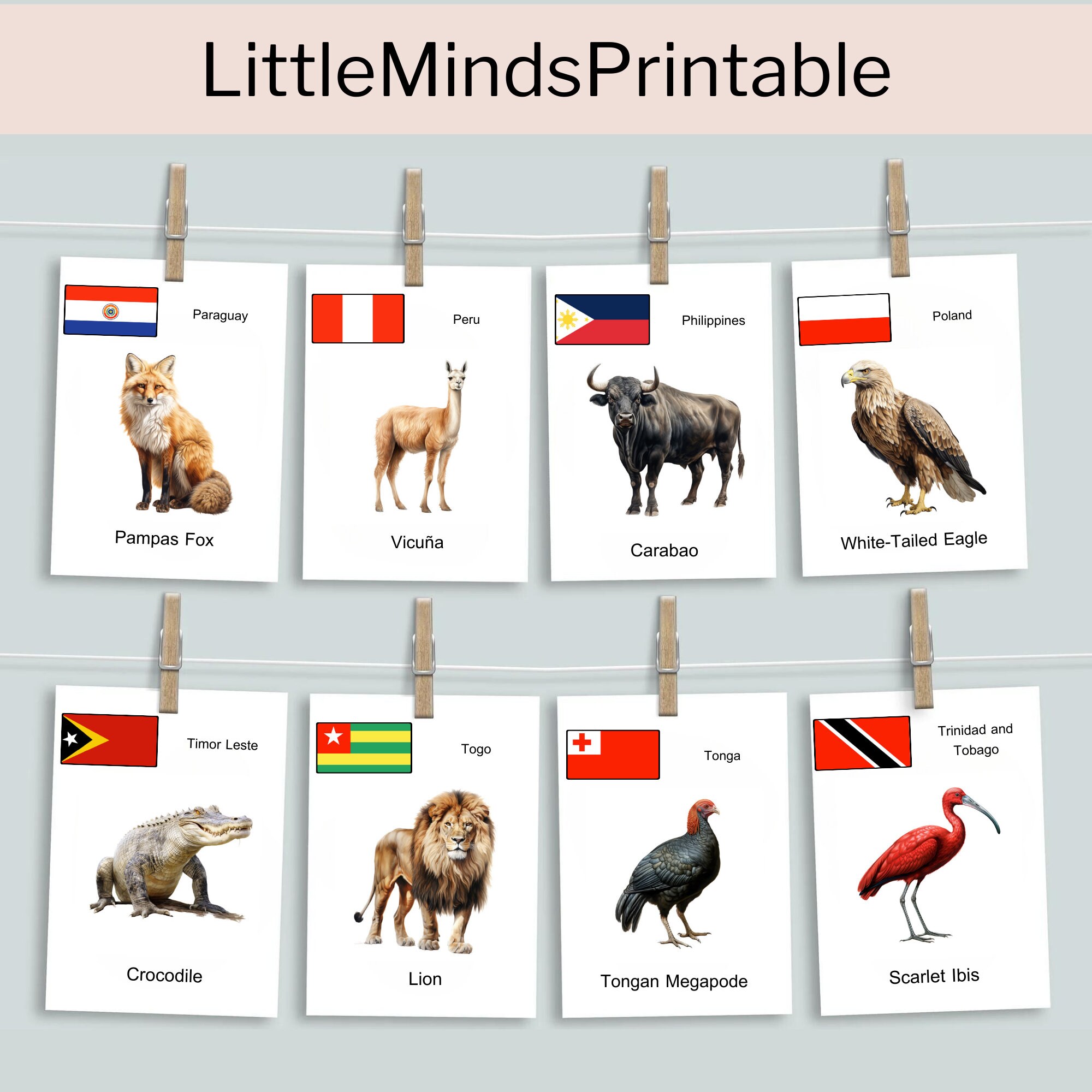National Animal Digital Printable Flash Cards Learning Tool for ...