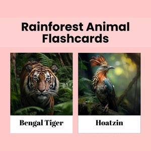 Tropical Rainforest Animal Printable Flashcards for Kids Printable Animal Rainforest Flash Cards