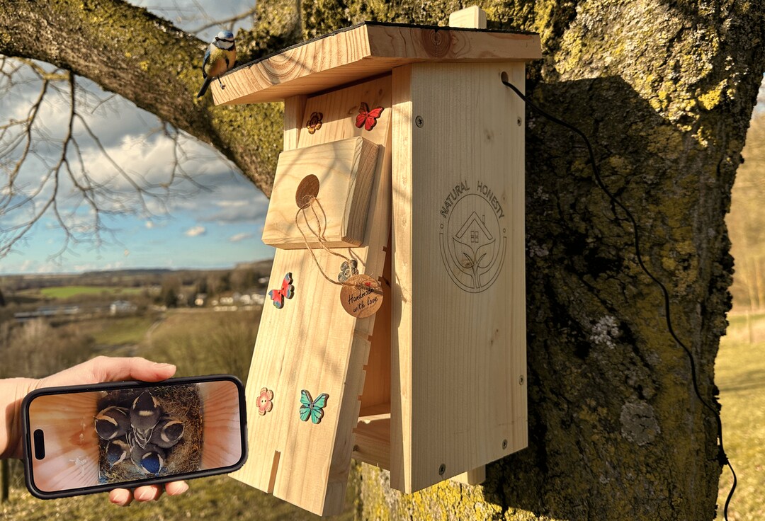 View of High-quality Bird House nesting Box Including Camera for Bird Watching ...