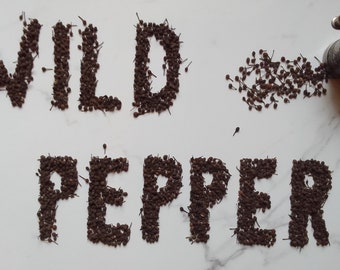 Wild Madagascar Peppercorns, Malagasy Pepper, Voatsiperifery Pepper, Poire Sauvage de Madagascar, Piper Borbonense,