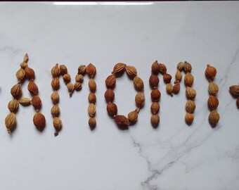 Amomi Fructus, Yellow Cardamom, Amomum Villosum, False Cardamom, B*stard Cardamom, Sha Ren,