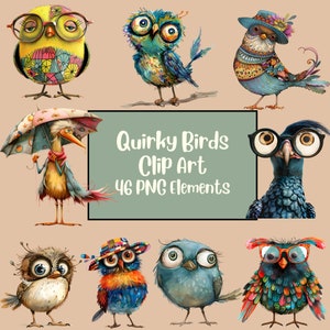 Quirky Bird Clipart | Funny Bird Png | Cute Caricature Birds | Bird Images Clipart | Whimsical Colorful Design Graphics