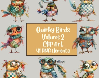 Imágenes prediseñadas de pájaros divertidos / Pájaros divertidos Png / Medios mixtos Quirky Bird Clip Art / Gráficos caprichosos / Diario basura / Artesanía de papel digital / Sublimación