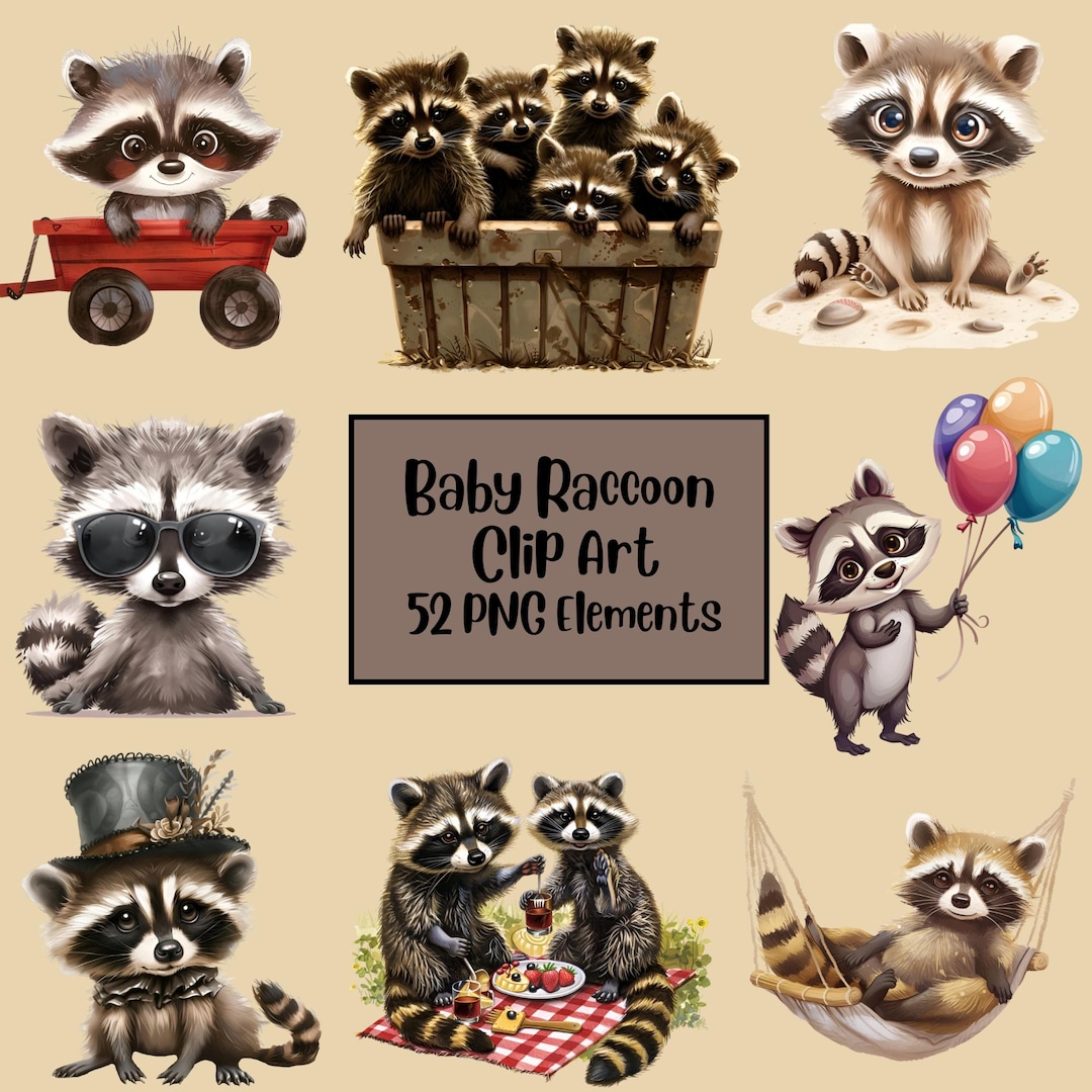 Baby Raccoon Graphics, Little Raccoon, Woodland Animals, Adorable ...