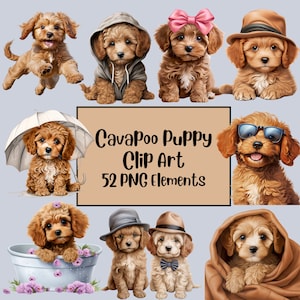 Cavapoo Clipart | Dog Graphics | Dogs Illustrations | Dog Clipart Bundle | Cute Dog Clip Art |Cavapoo PNG