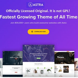 Wordpress Astra Pro Nicht GPL Theme Volle offizielle Lizenz ist Original Es ist nicht GPL Lebenslange Nutzung Automatisches Update und automatische Installation