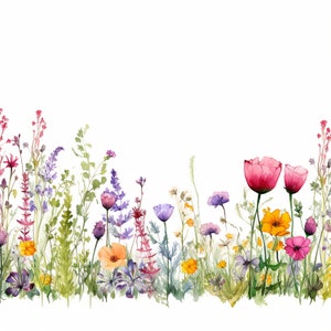 20 Watercolor wildflower border, wedding clipart, high quality (400 DPI) PNG instant download, commercial use - Transparent Background