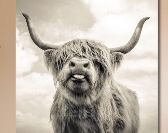 Highland Cow Sepia Canvas Print,Highland Cow Sepia Canvas Wall Decor,Animal Print,Animal Artwork,Highland Cow Sepia,Farmhouse Wall Decor