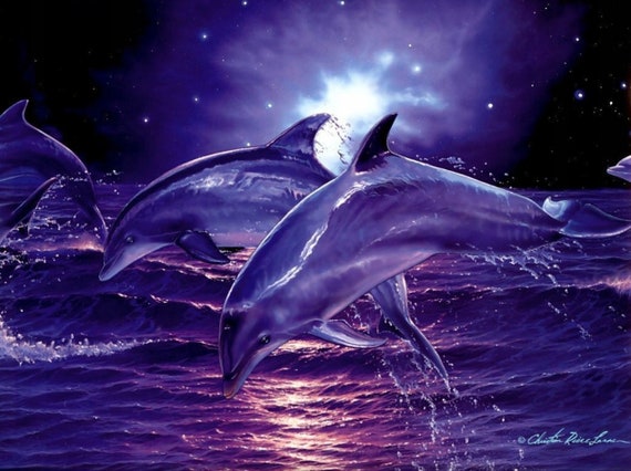 5d Full Square Diamond Painting Diy Dolphin Kits For Adults