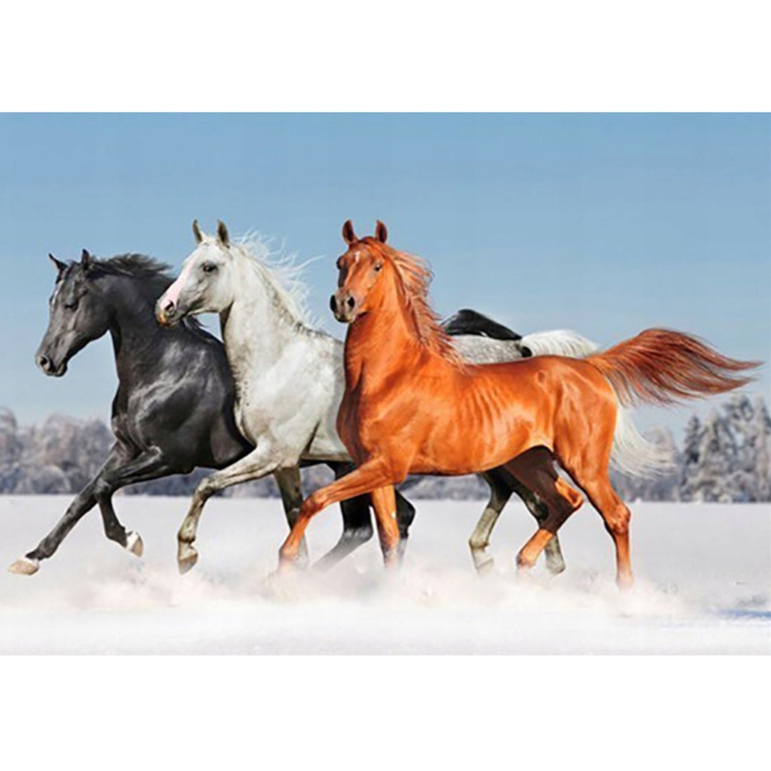 Diamond Painting Kit Wild Horses 5D DIY Diamond Set With Accessories ...