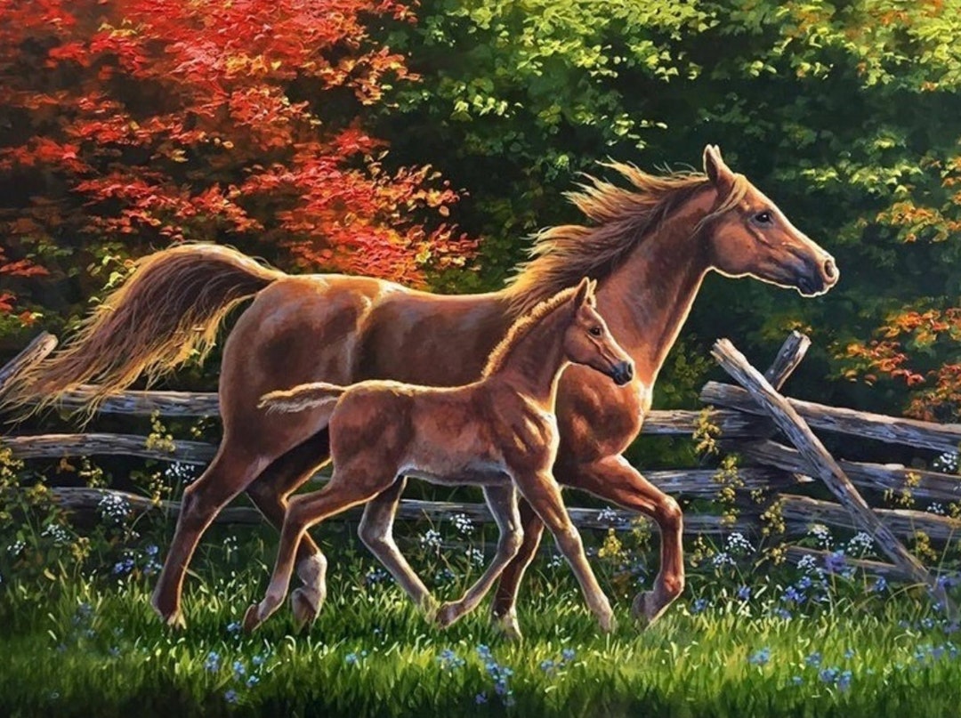 Diamond Painting Kit Wild Horses 5D DIY Diamond Set With Accessories ...