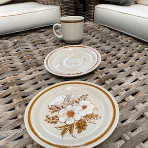 Mountain Wood Stoneware Cup,  Saucer and side plate  | 8 trio sets | 5 duo available | Made in Japan | 1970s  | Dried Flowers