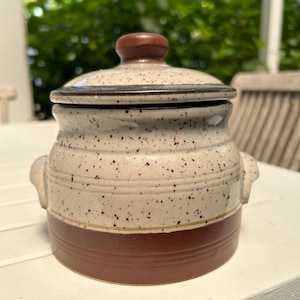 Koreaans | Steengoed pot met deksel | Rustiek boerenkeukengerei | Boho neutraal interieur | Opbergdoos voor bakpot | Displaystuk