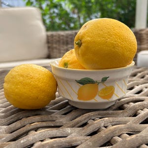 Mikasa Fresh Fruit Lemons DP 003 | Vintage Small Bowl | Cottagecore Farmhouse Decor | Yellow Fruit Design