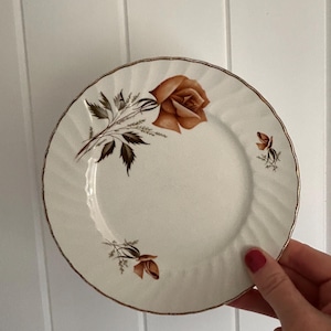 Swinnertons | Tan Rose | 11 Plates | Royal Wessex White Ironstone | Mid century | Floral | Cottage | English vintage | Warranted 22kt gold