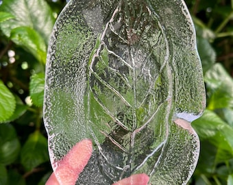 Kosta Boda | Set of 7 |  Leaf Design Dessert Bowls | Ann & Goran Wärff | Swedish Crystal Glass | Vintage Home Decor | Scandi | Hygge Avocado