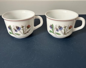 Arcopal Fleur D’été Cups |  Set of 2 | French Opal Glass Coffee Mugs